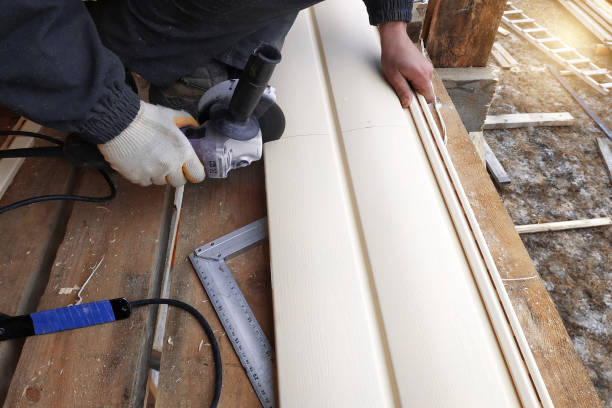 Best Custom Siding Design  in Kalkaska, MI